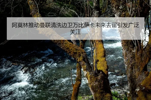 阿莫林推动曼联清洗边卫万比萨卡未来去留引发广泛关注